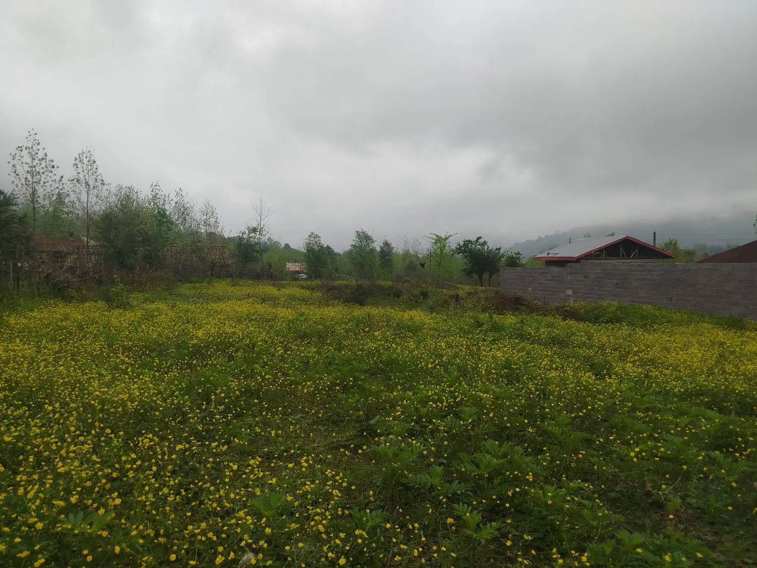 تصویر املاک 95647