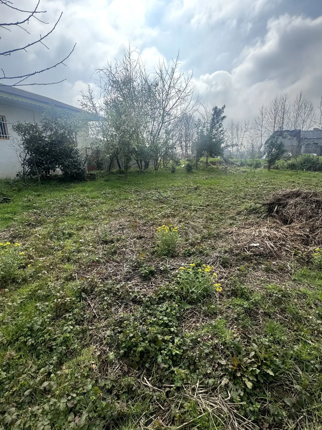 تصویر املاک 124537