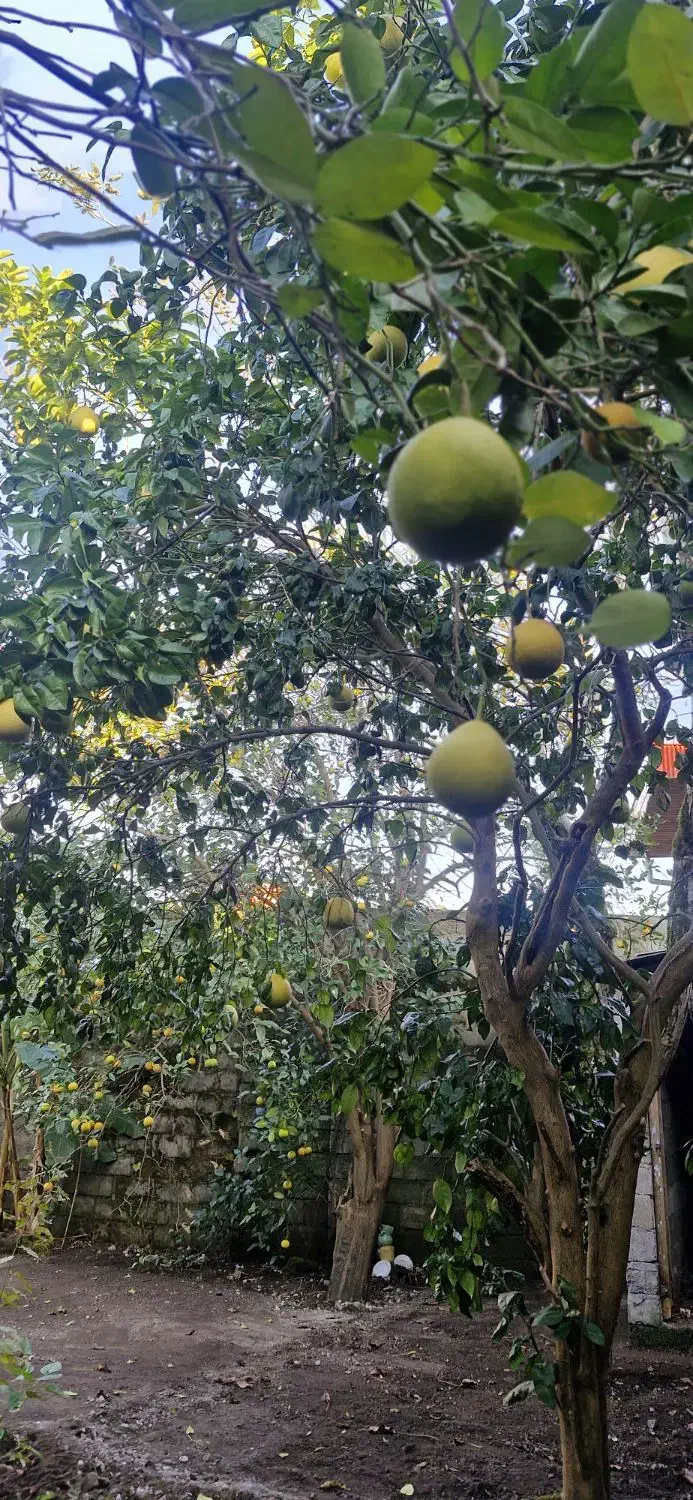 تصویر املاک 35754