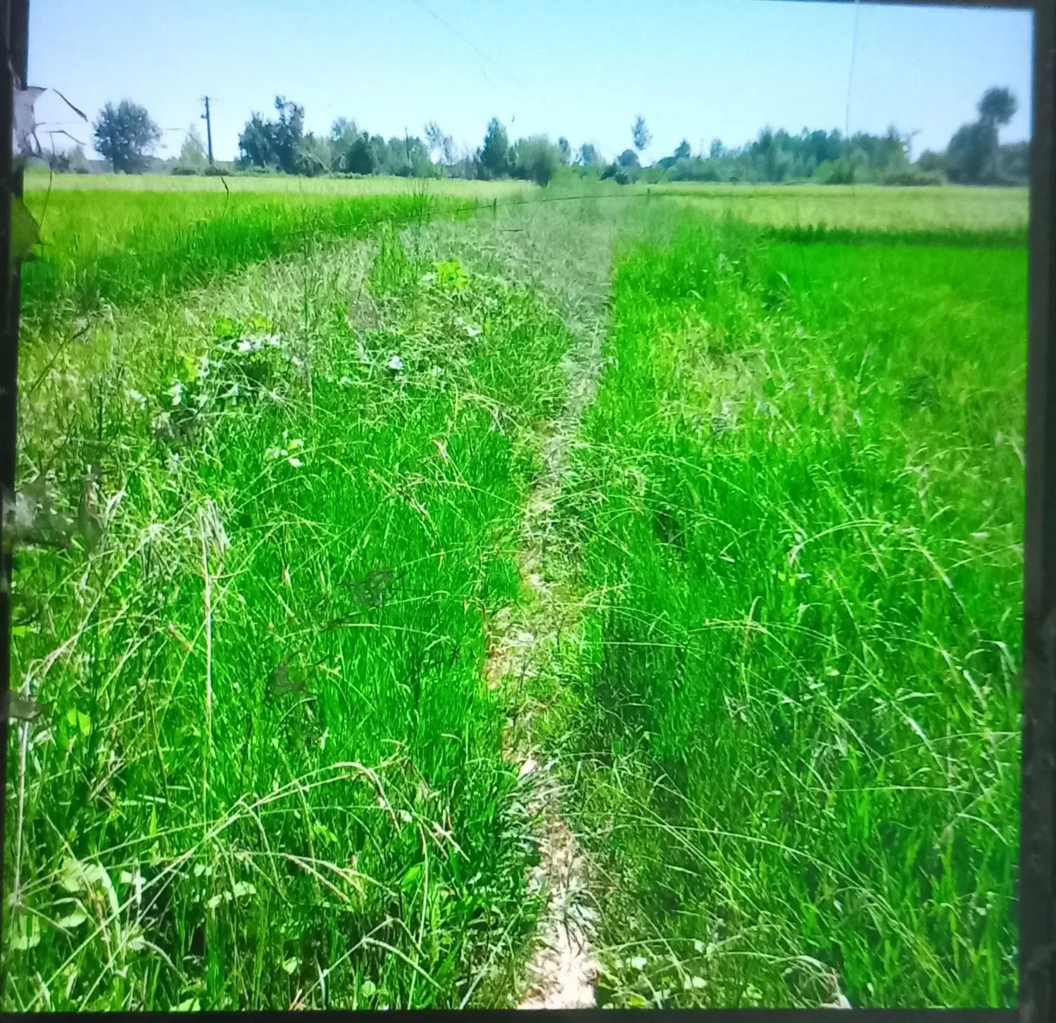 تصویر املاک 89112
