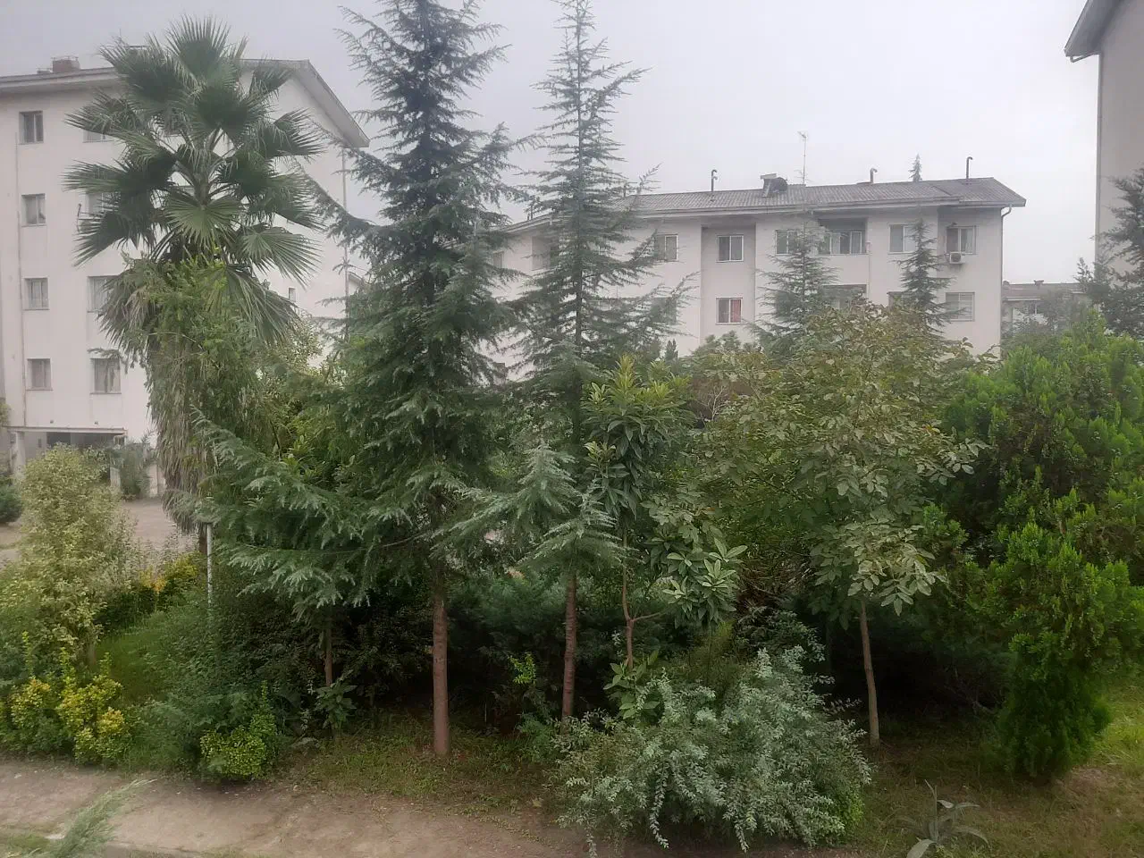 تصویر املاک 9448