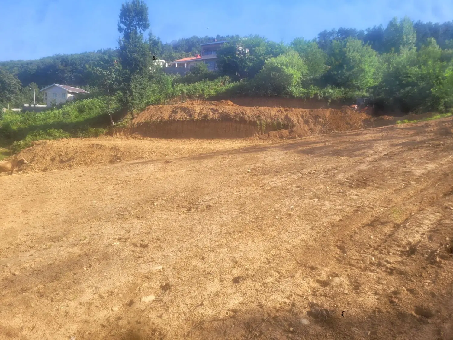 تصویر املاک 45145