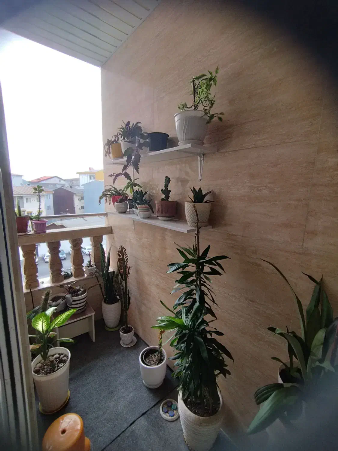 تصویر املاک 16107