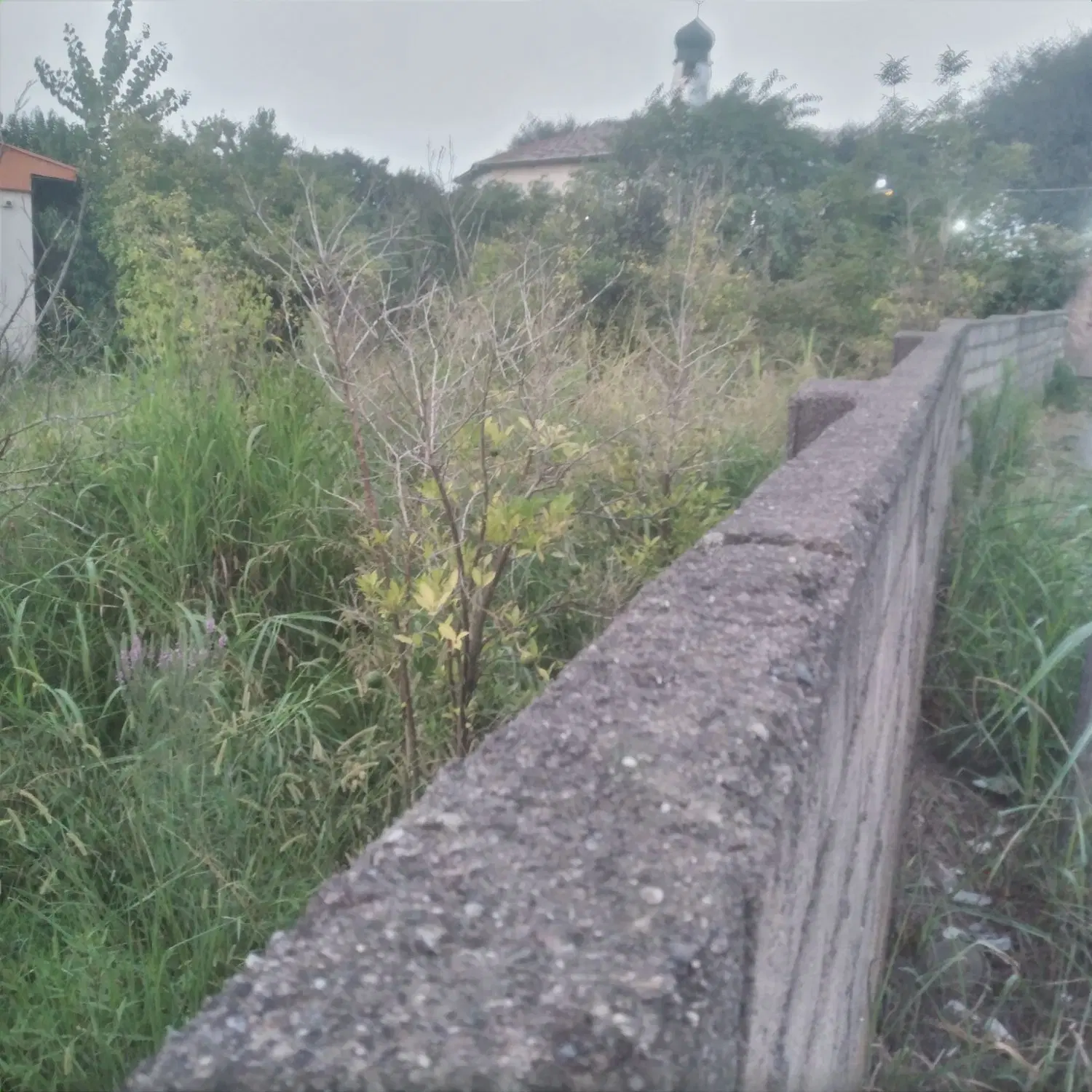 تصویر املاک 127103