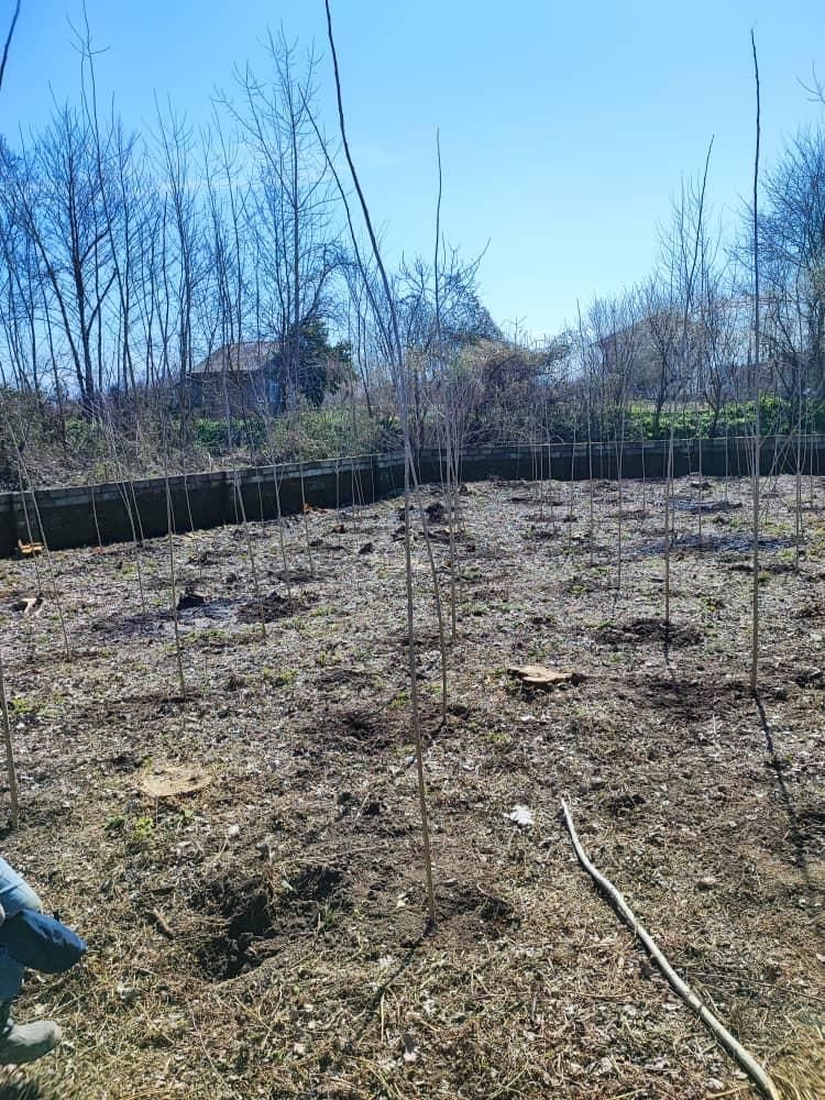 تصویر املاک 4124