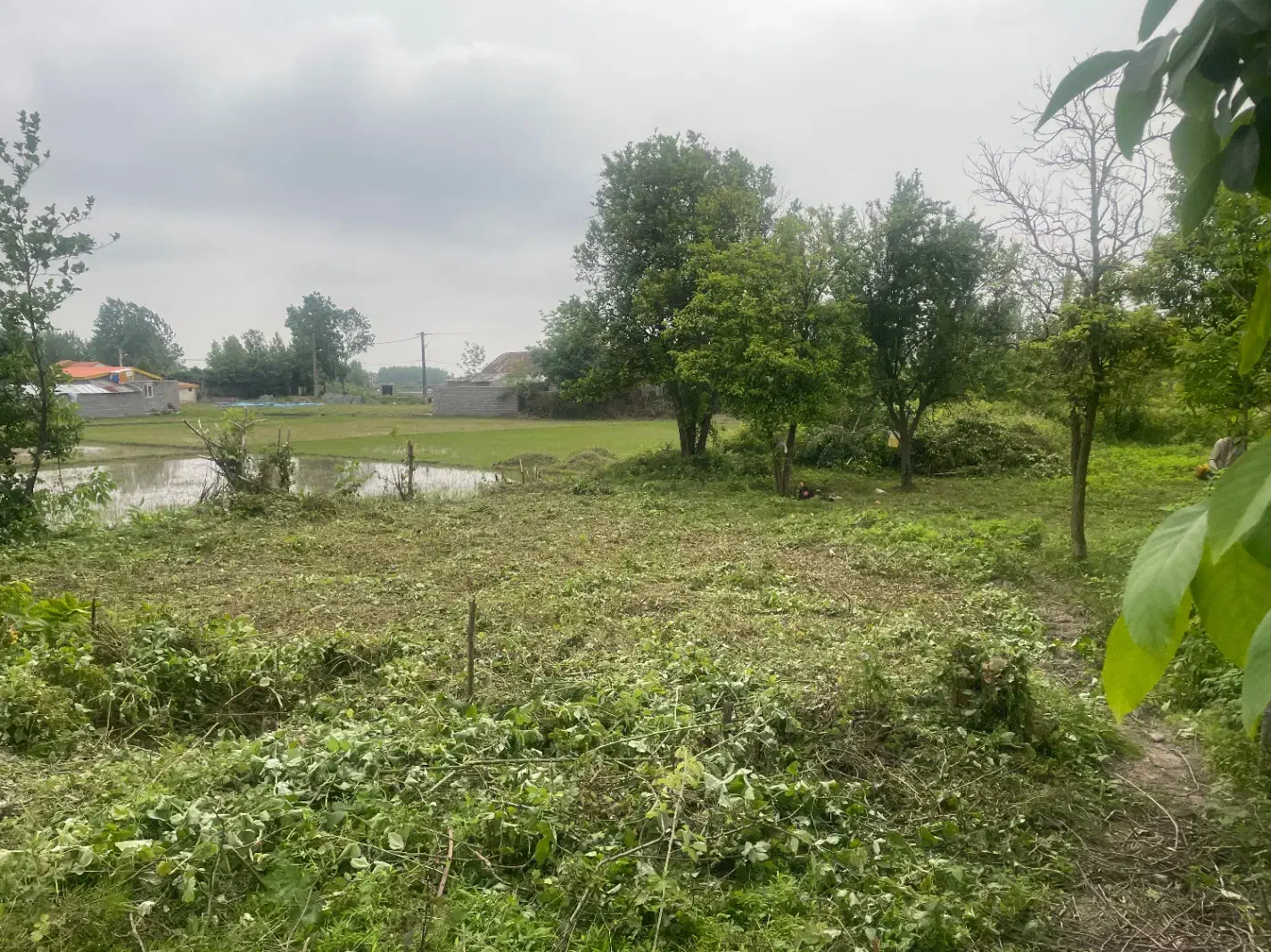 تصویر املاک 5538