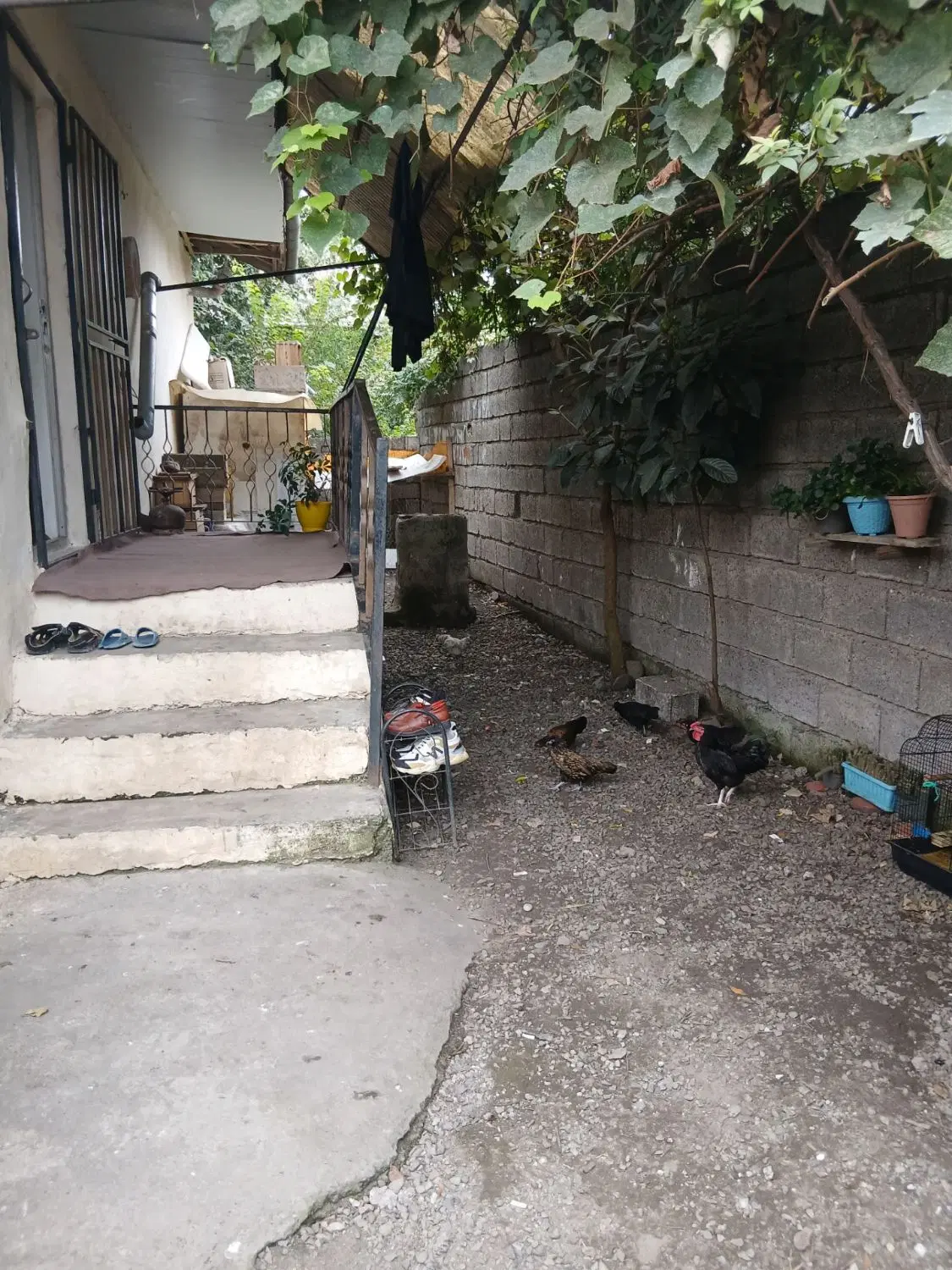 تصویر املاک 133554