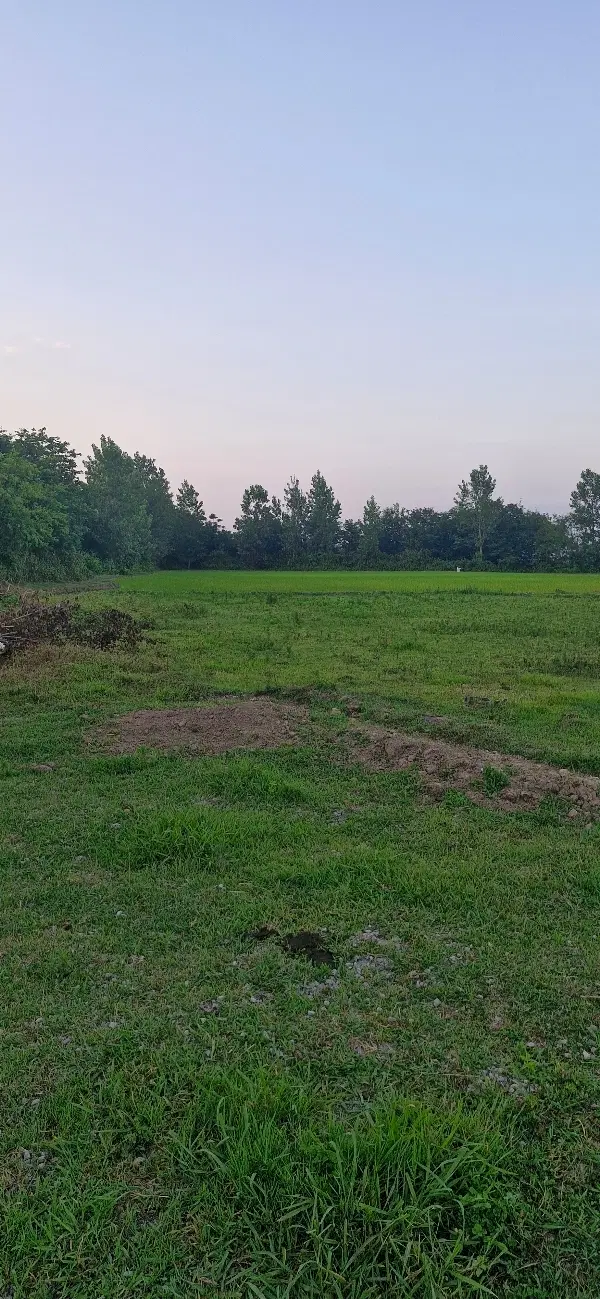 تصویر املاک 67472
