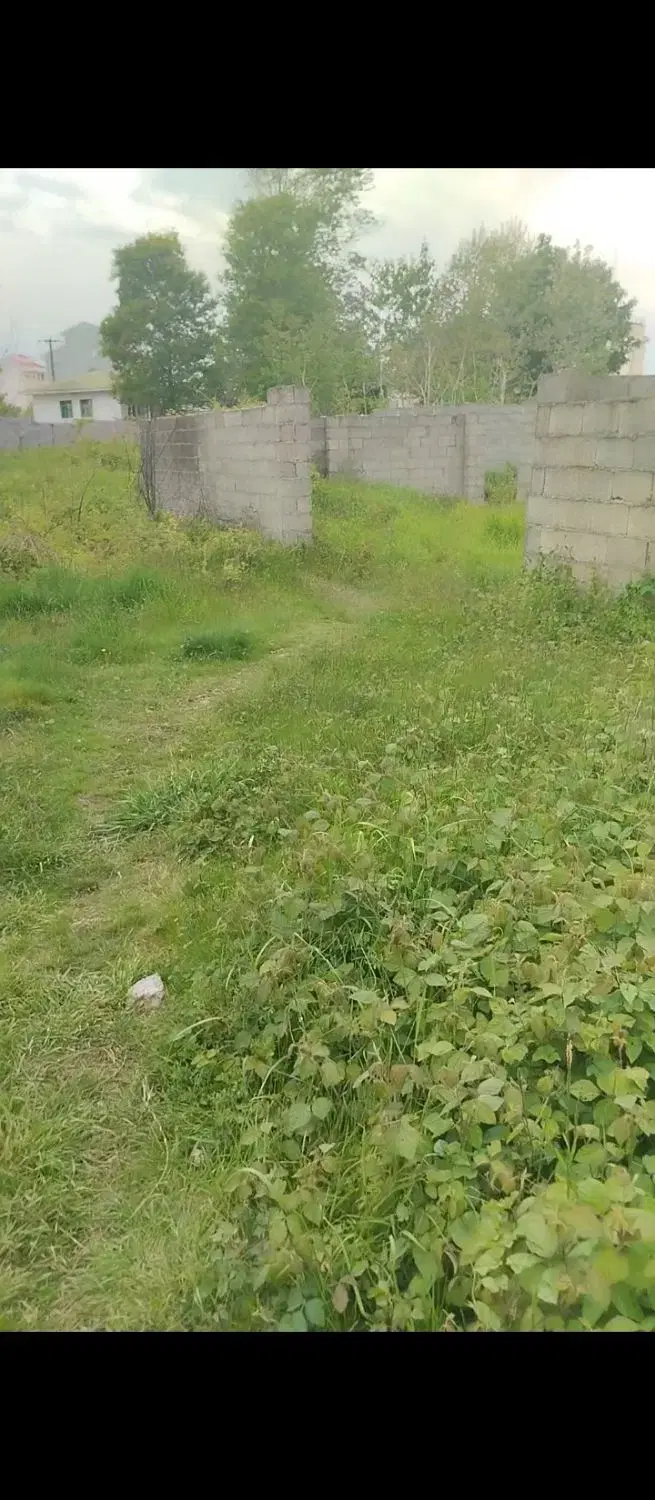 تصویر املاک 57340