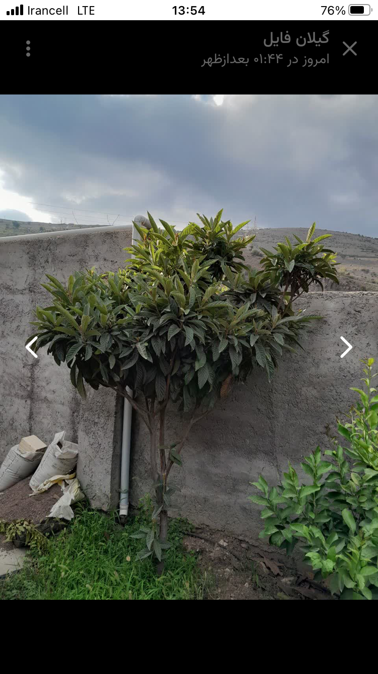 تصویر املاک 55561