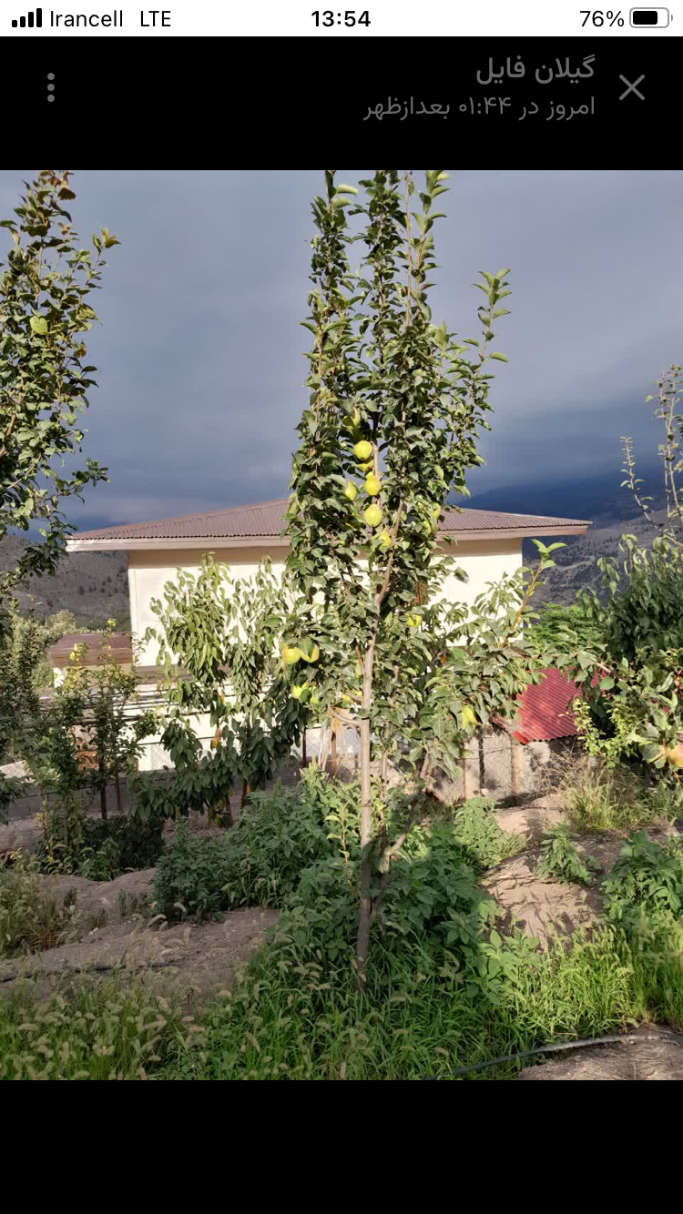 تصویر املاک 55564