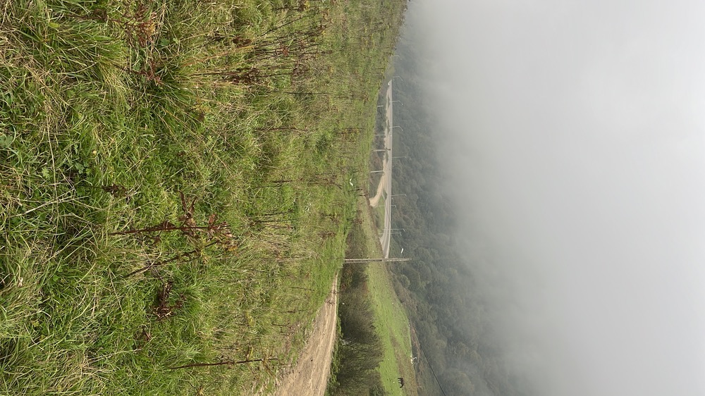 تصویر املاک 38590