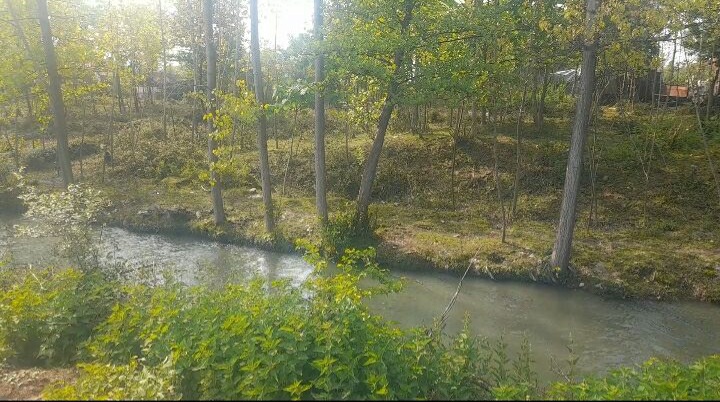 تصویر املاک 45493