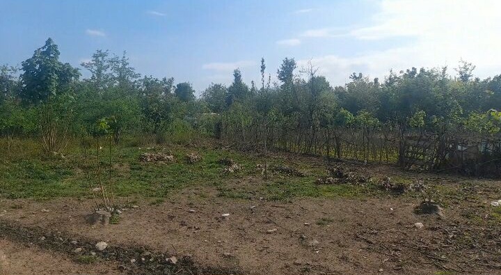 تصویر املاک 45495