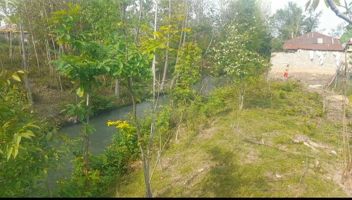 تصویر املاک 45491
