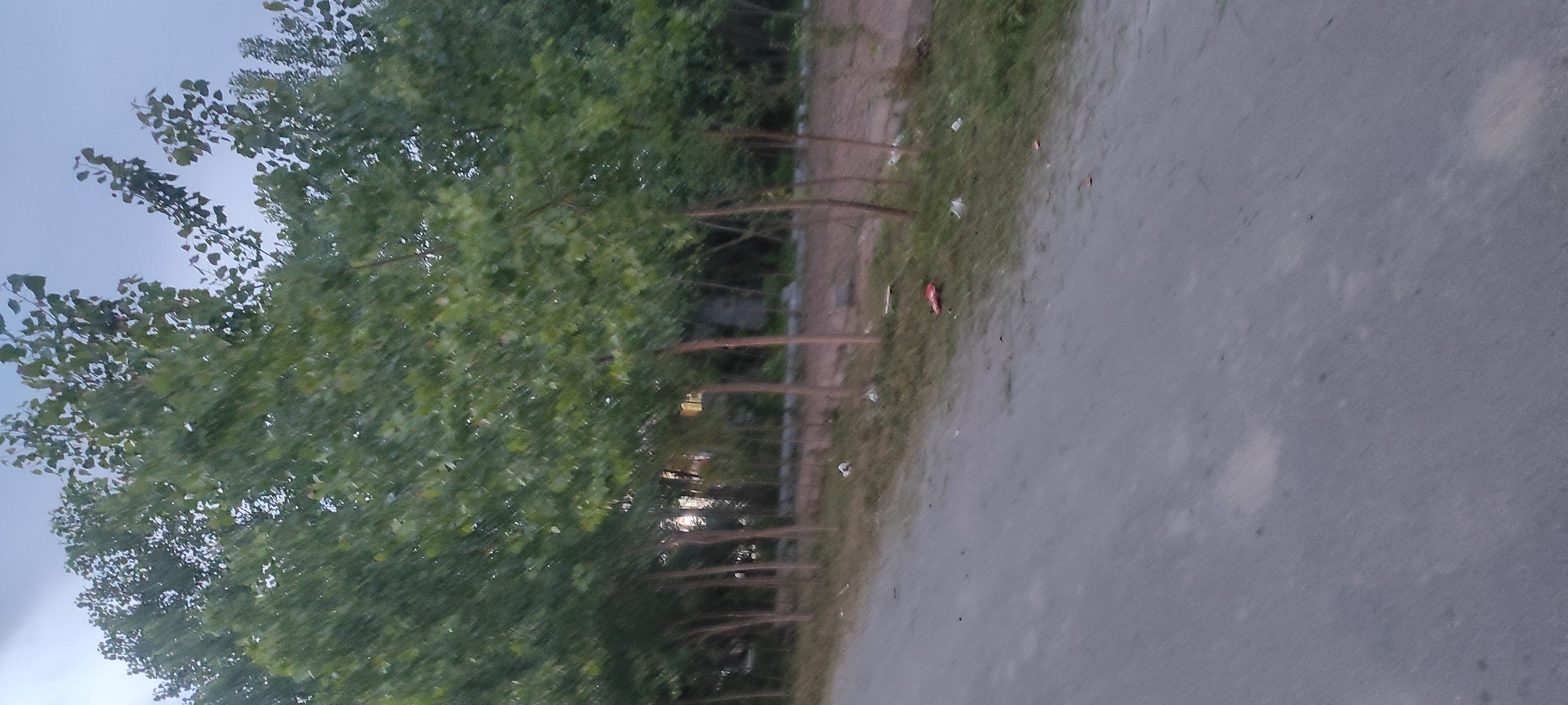 تصویر املاک 125584