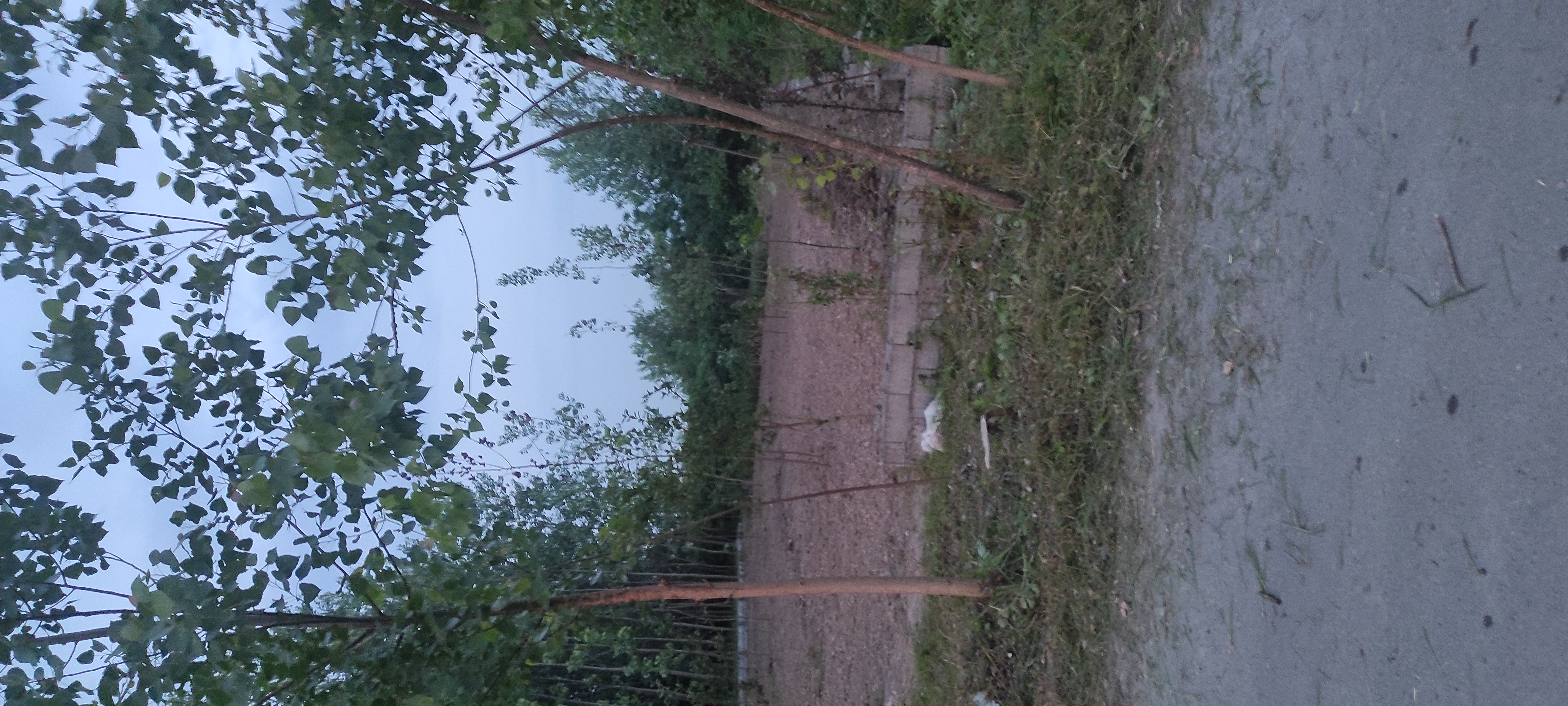 تصویر املاک 125583