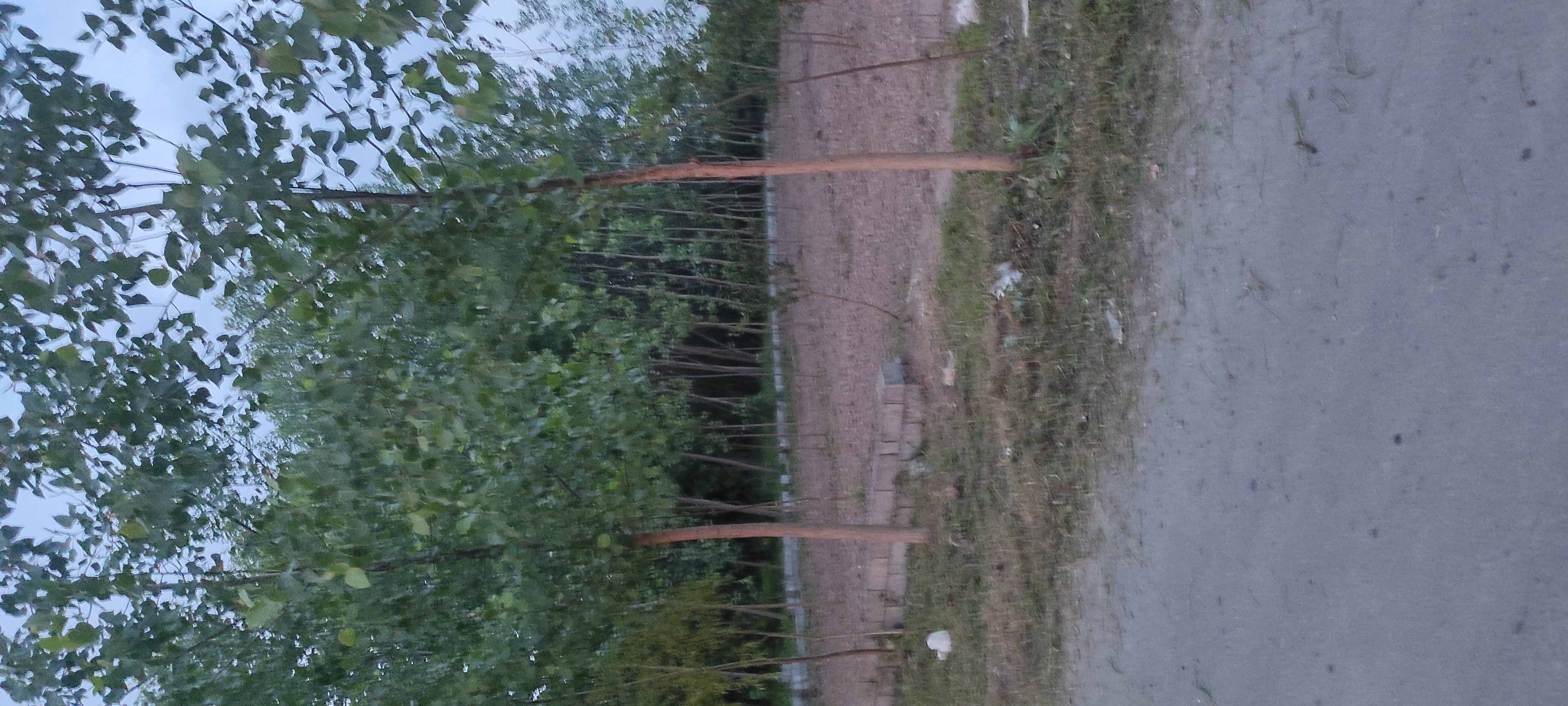 تصویر املاک 125582