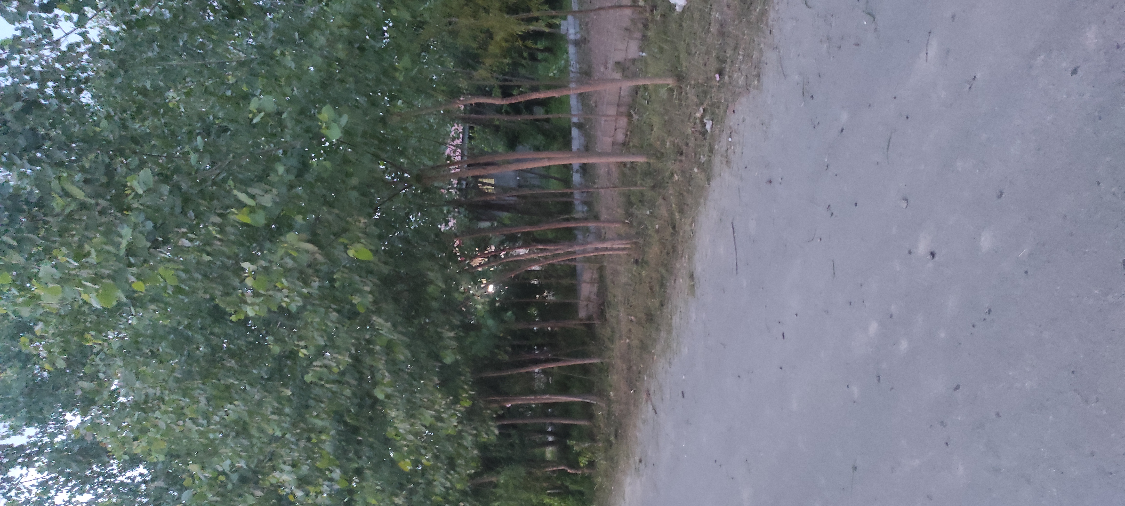 تصویر املاک 125581