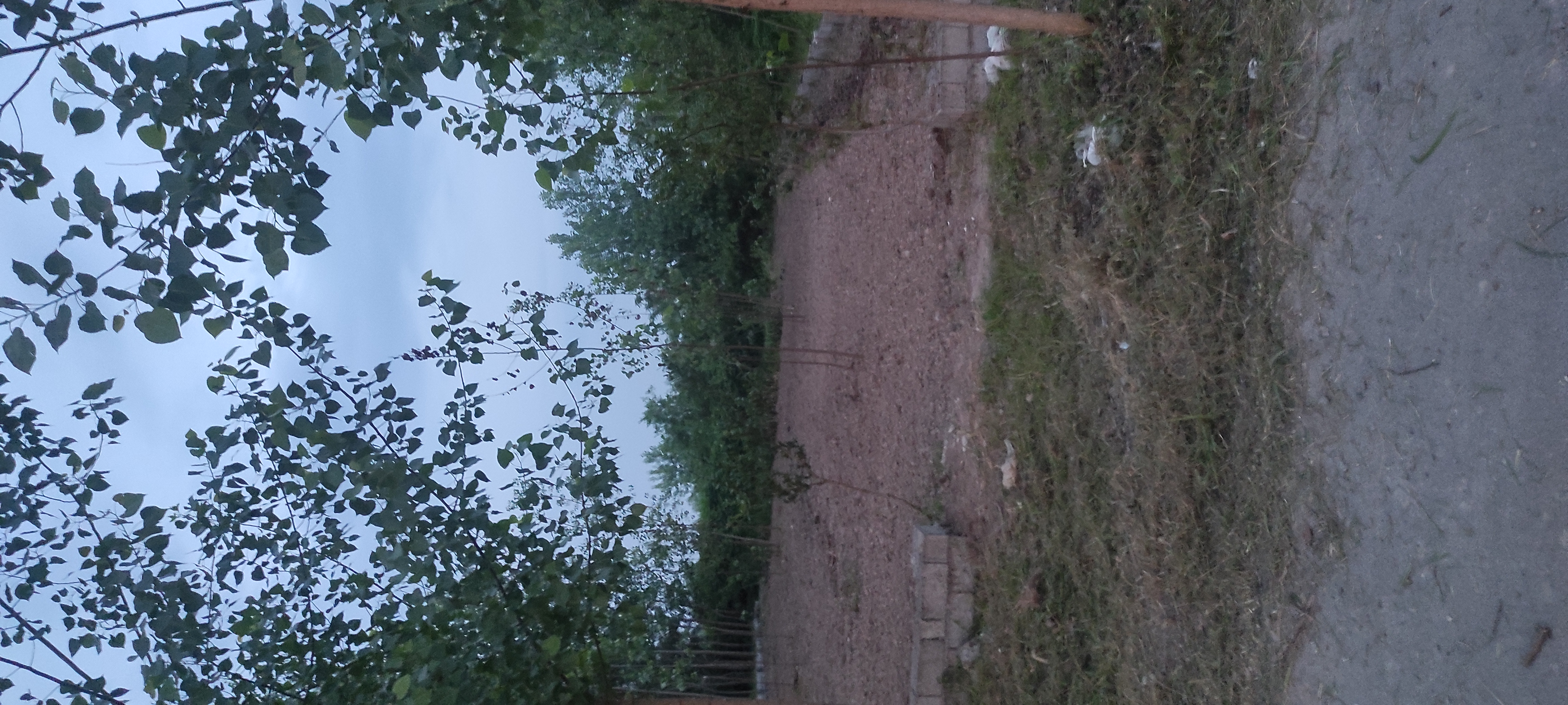 تصویر املاک 125579