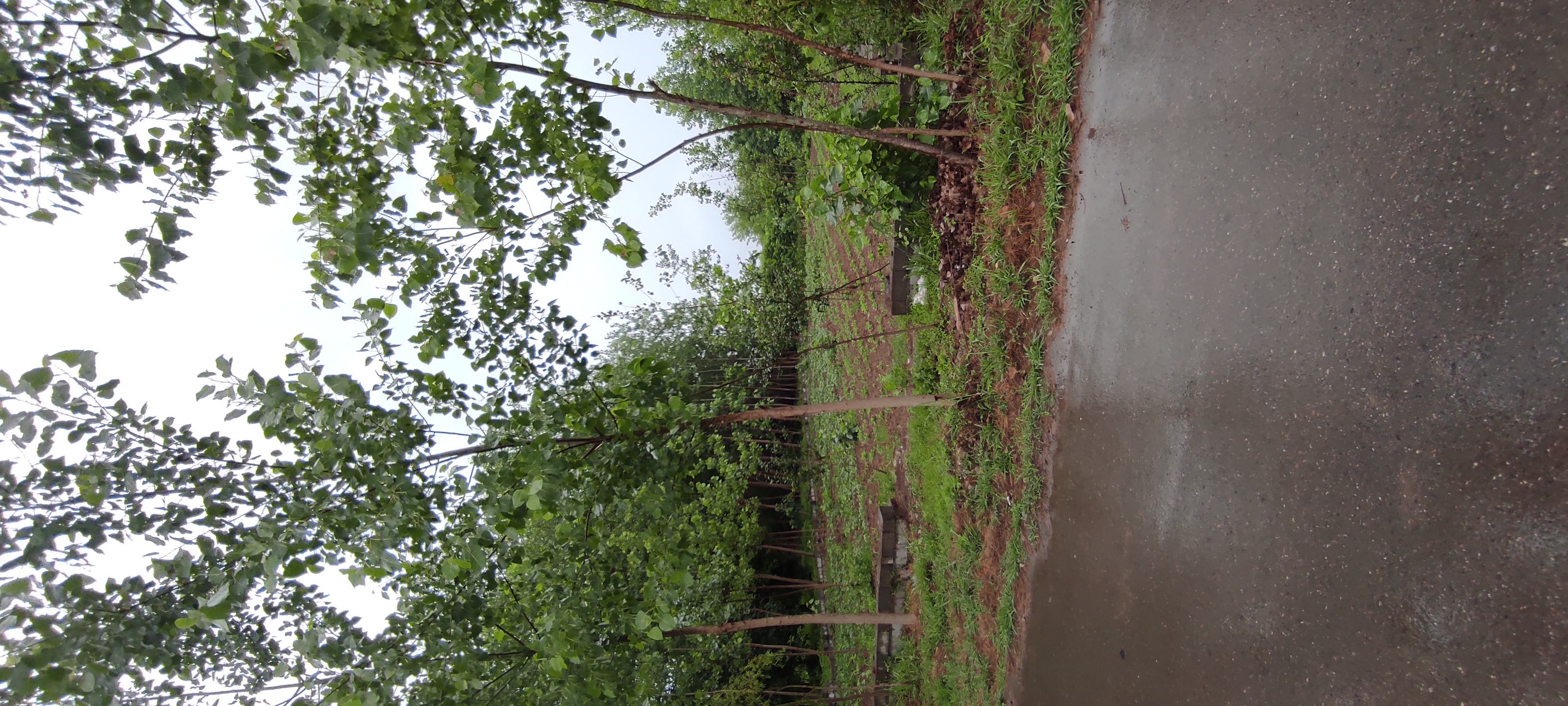 تصویر املاک 125577