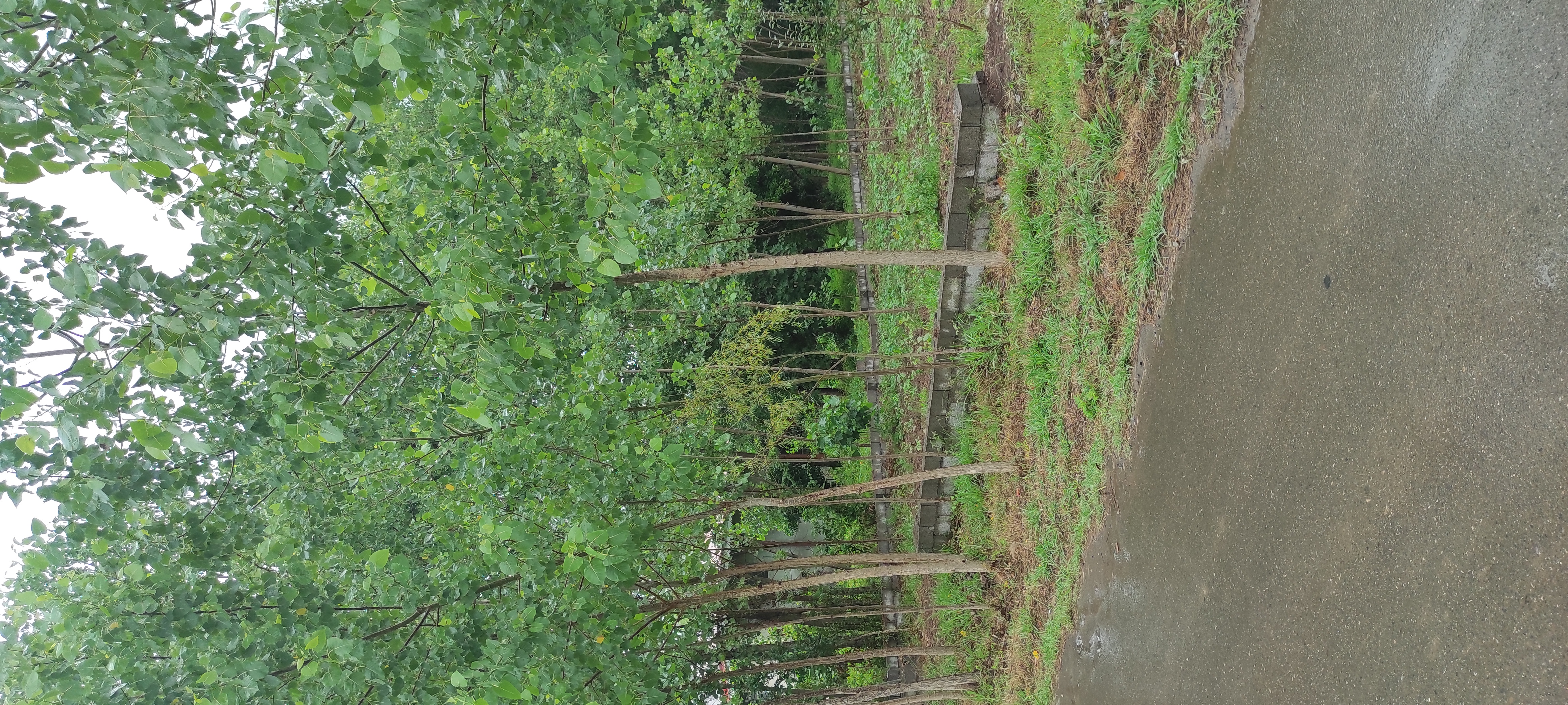 تصویر املاک 125574