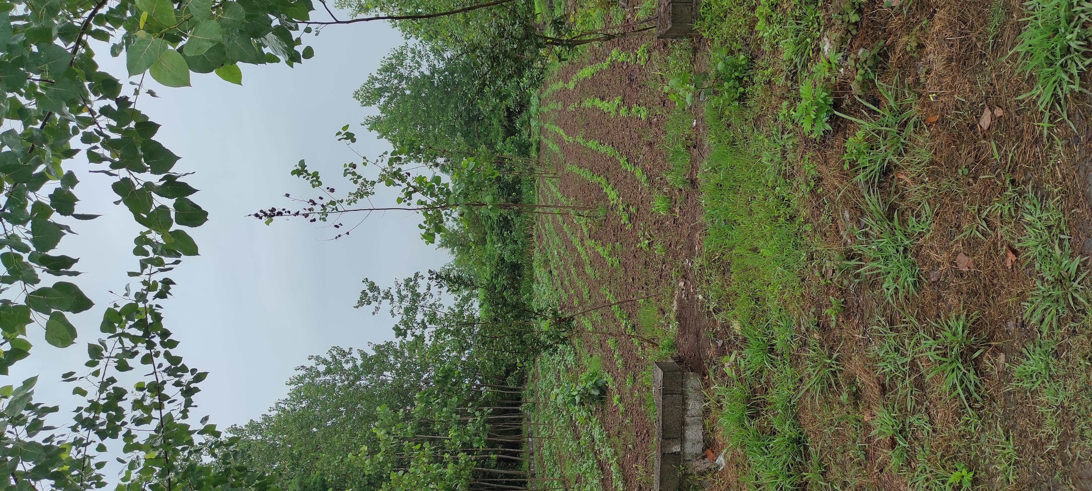 تصویر املاک 125570