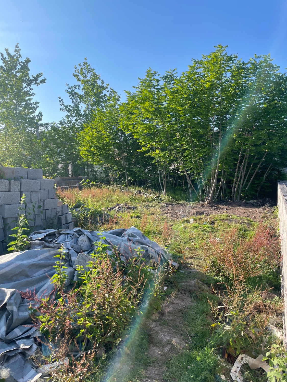 تصویر املاک 38185