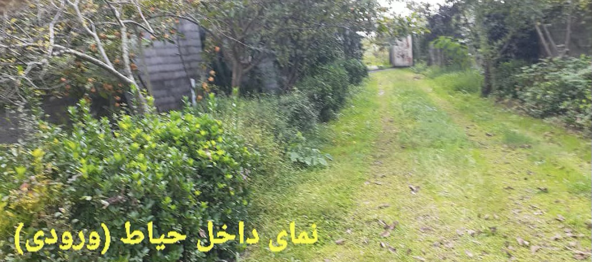 تصویر املاک 74118