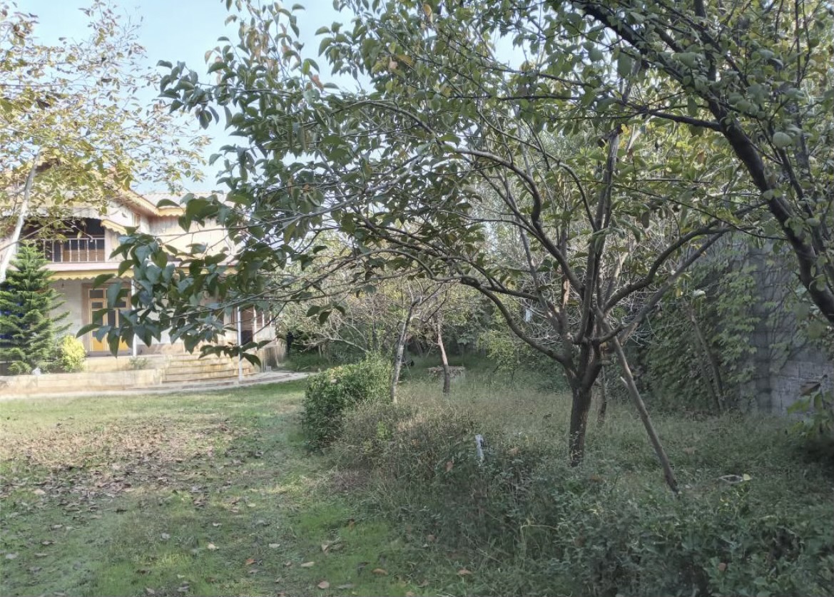 تصویر املاک 74124