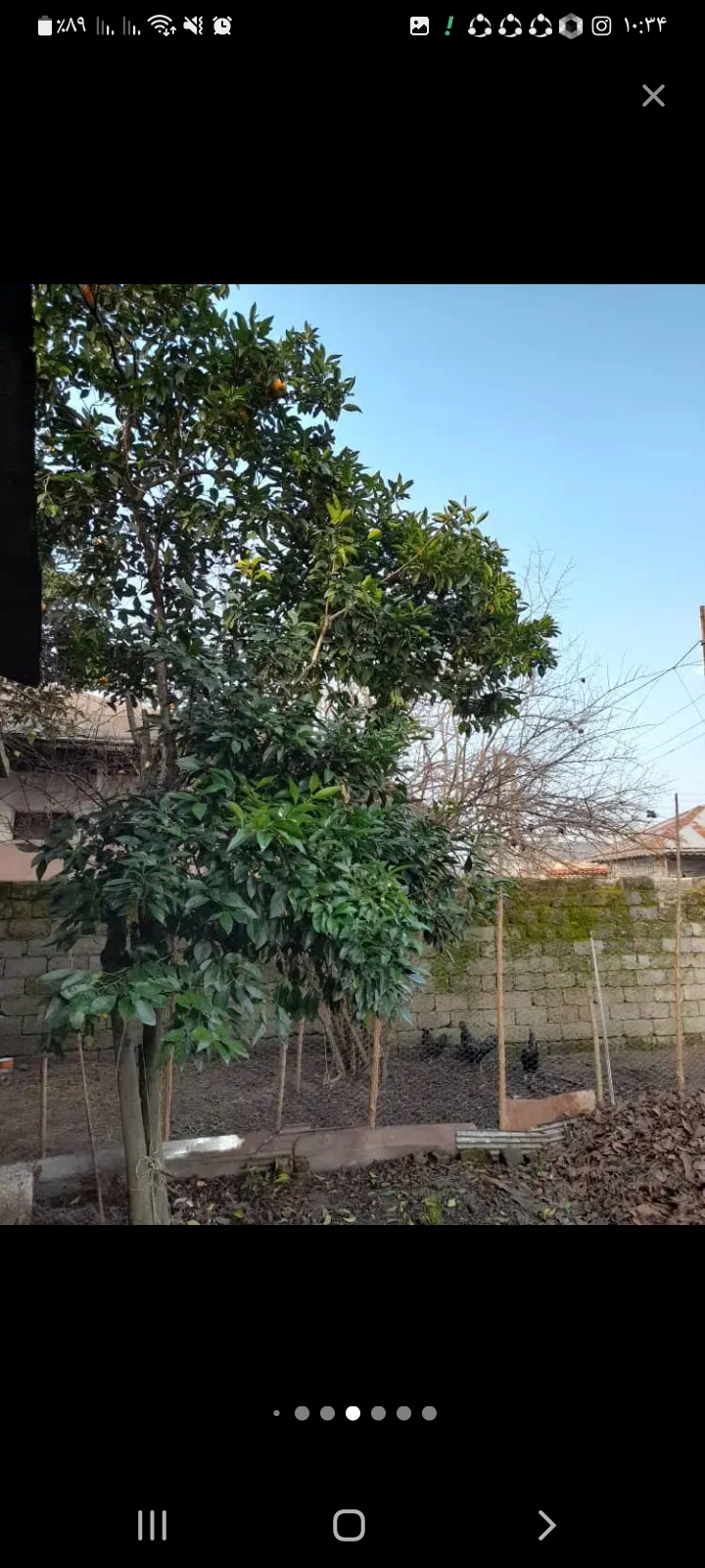 تصویر املاک 32122