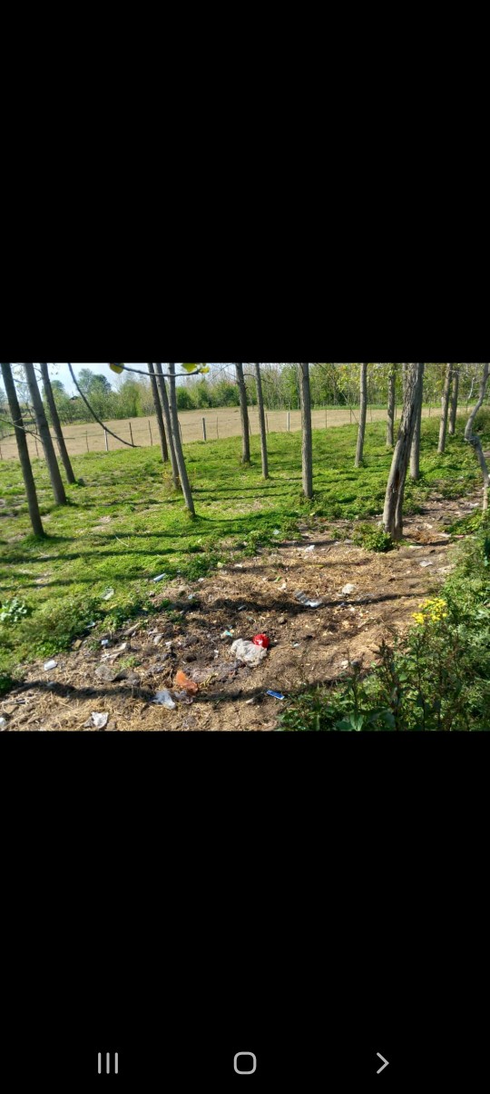 تصویر املاک 36971
