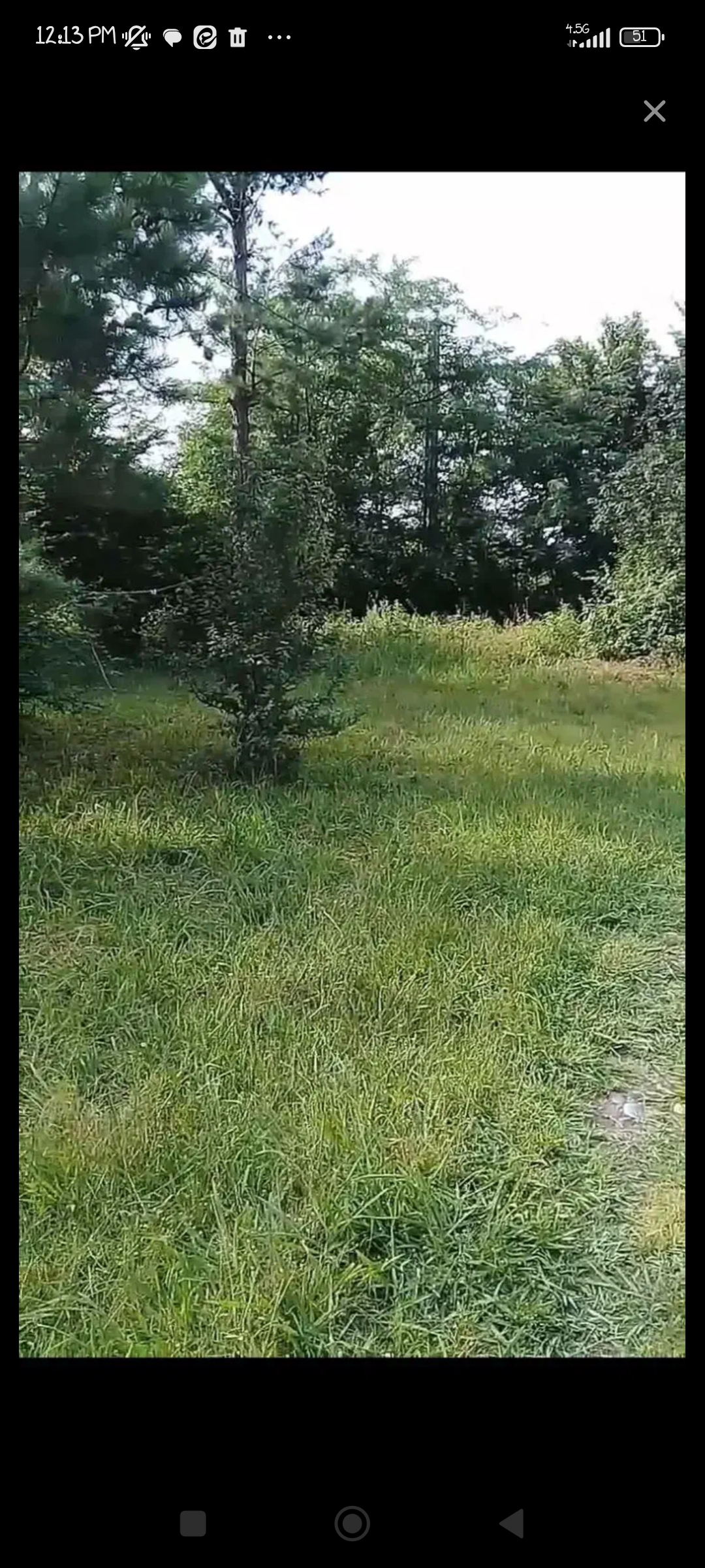 تصویر املاک 33937
