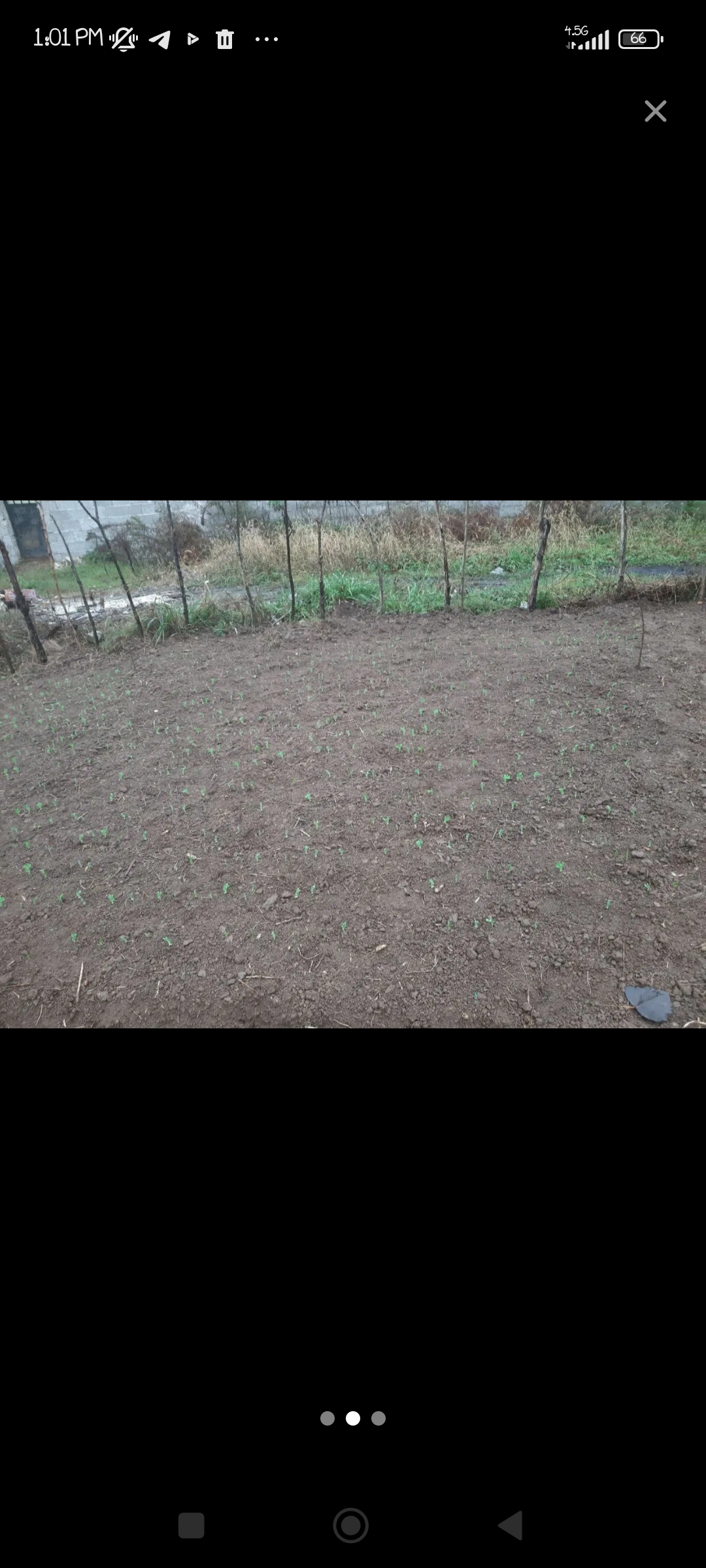 تصویر املاک 46203