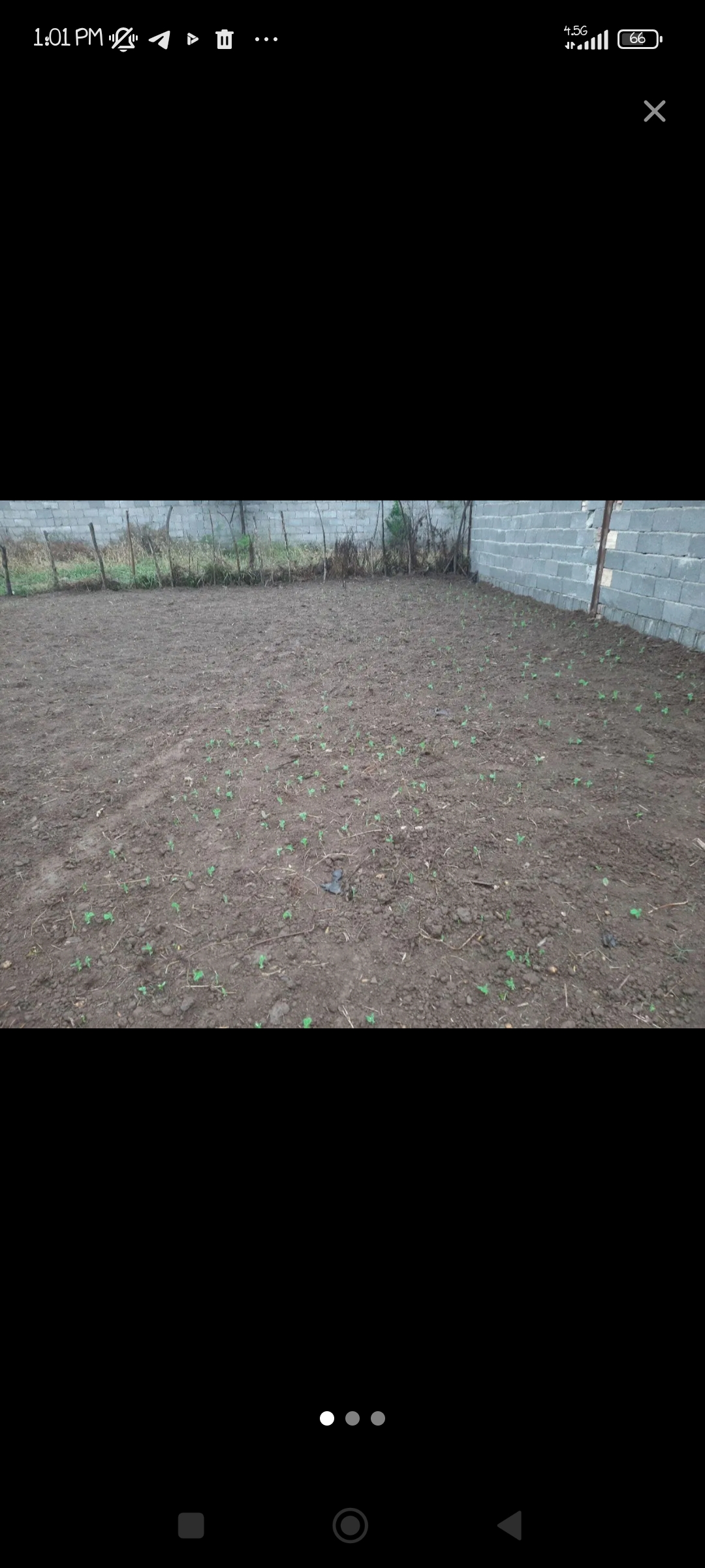 تصویر املاک 46204