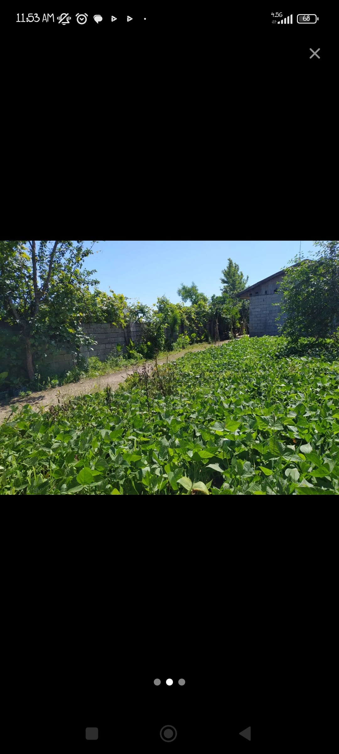 تصویر املاک 49266