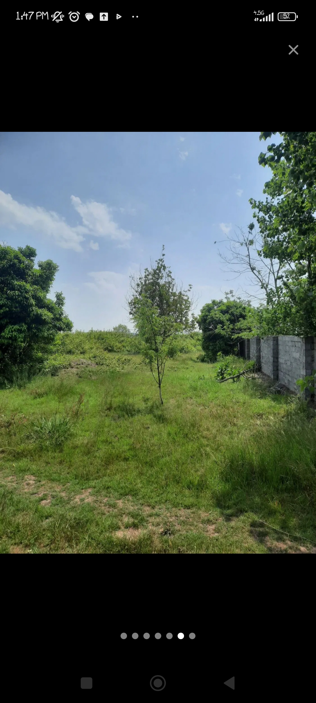 تصویر املاک 49581