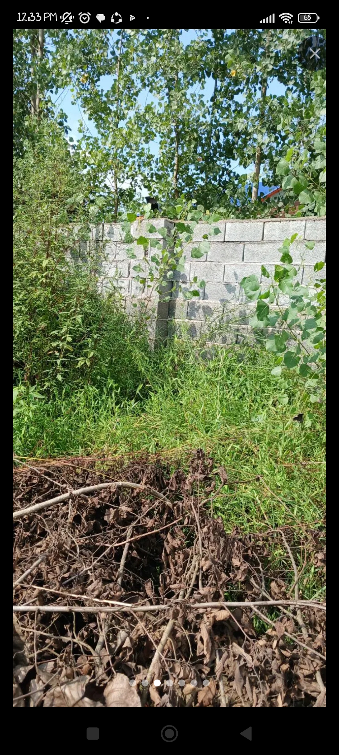 تصویر املاک 51287