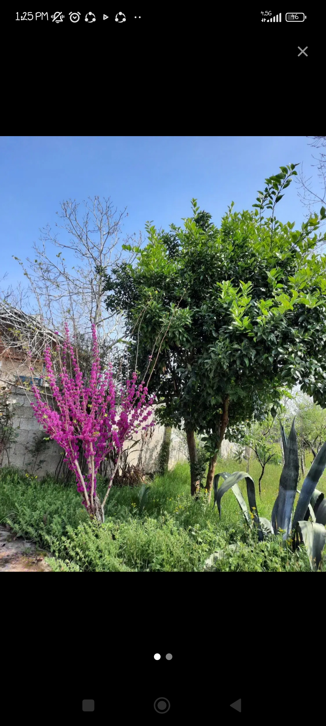 تصویر املاک 54596