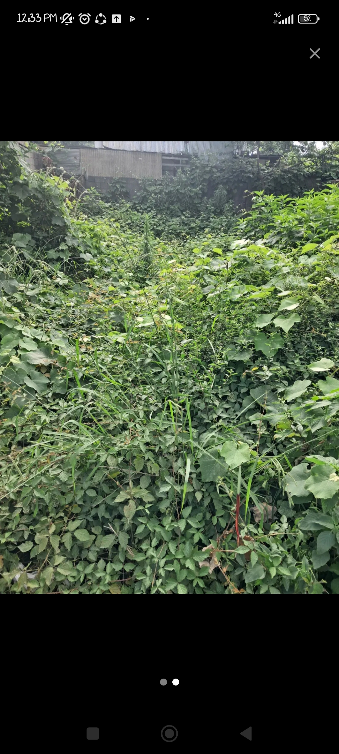 تصویر املاک 55902