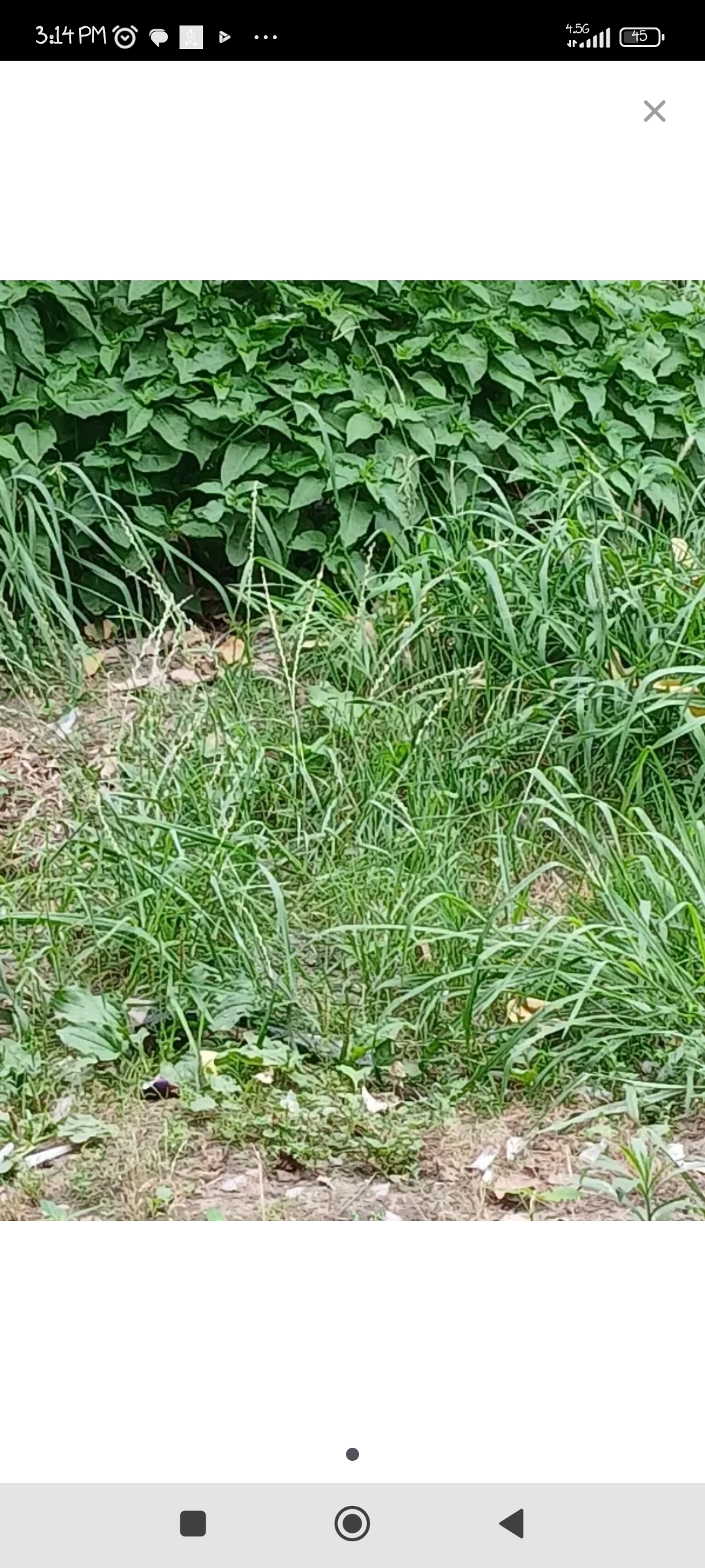 تصویر املاک 58921