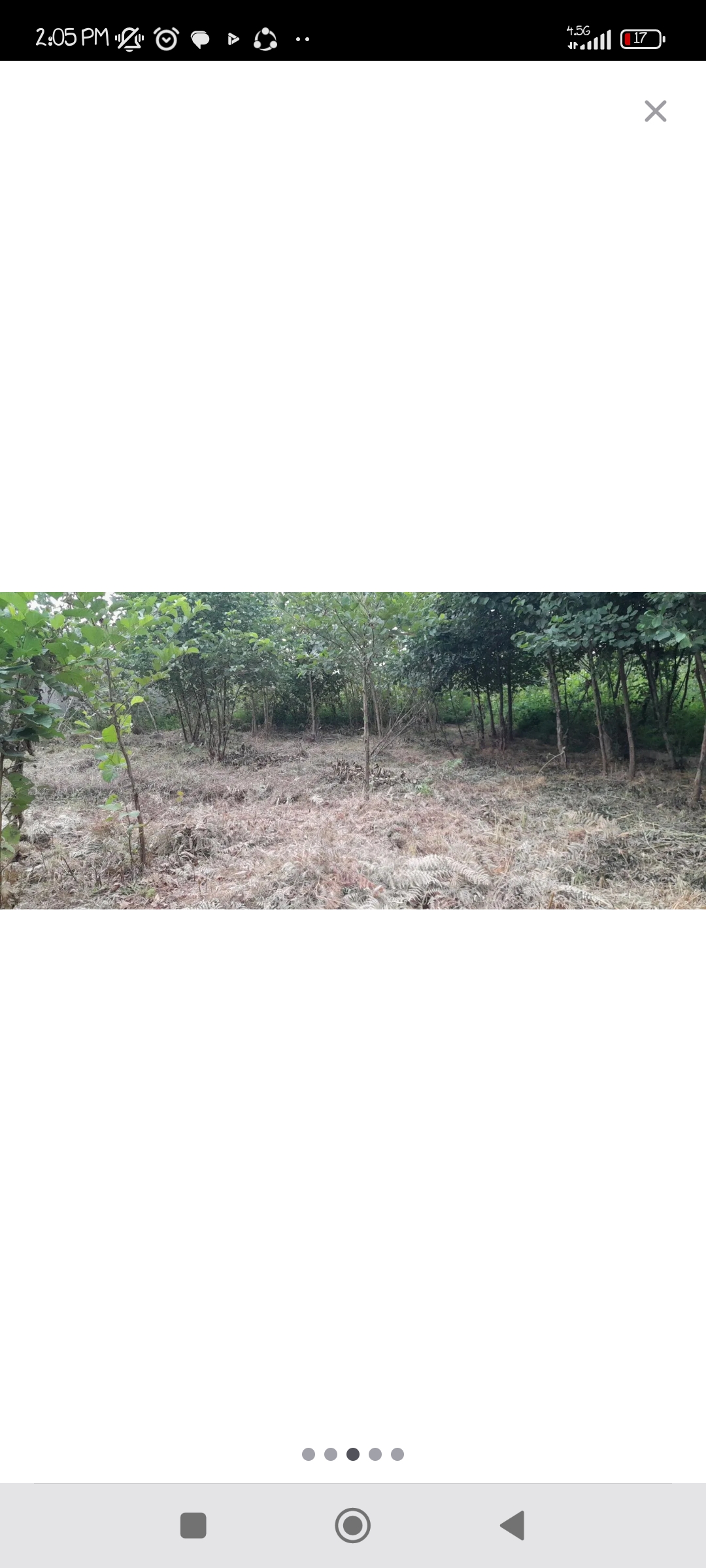 تصویر املاک 67738