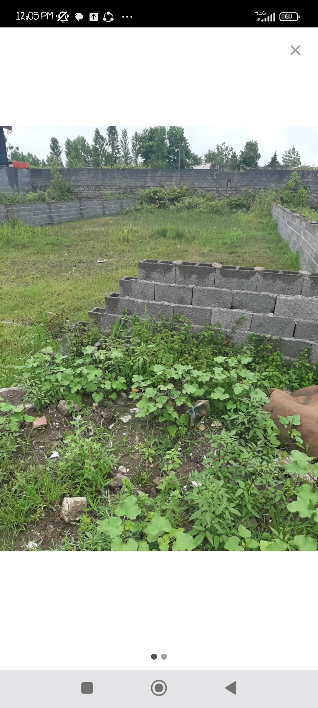 تصویر املاک 69619