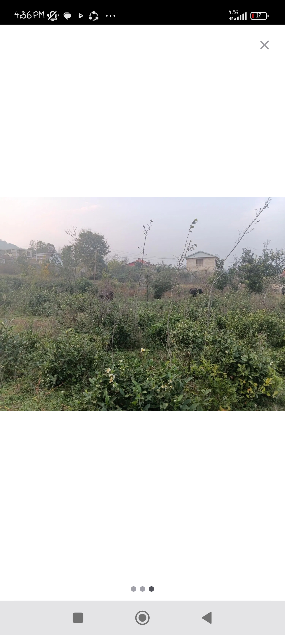 تصویر املاک 70133
