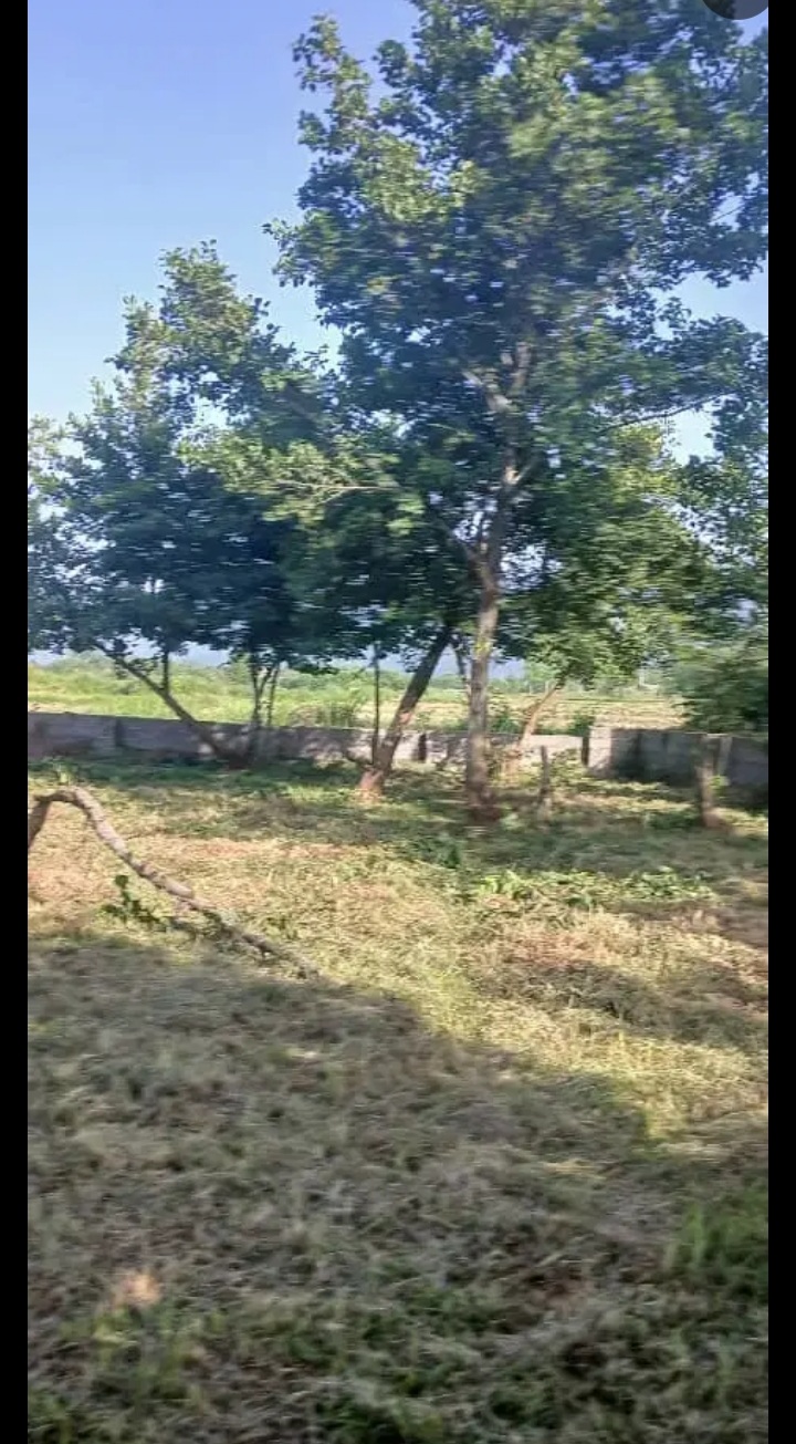 تصویر املاک 57253