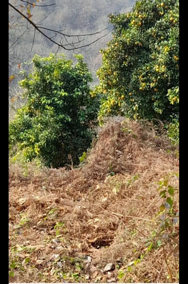 تصویر املاک 57702
