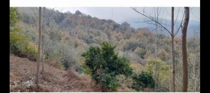 تصویر املاک 57701
