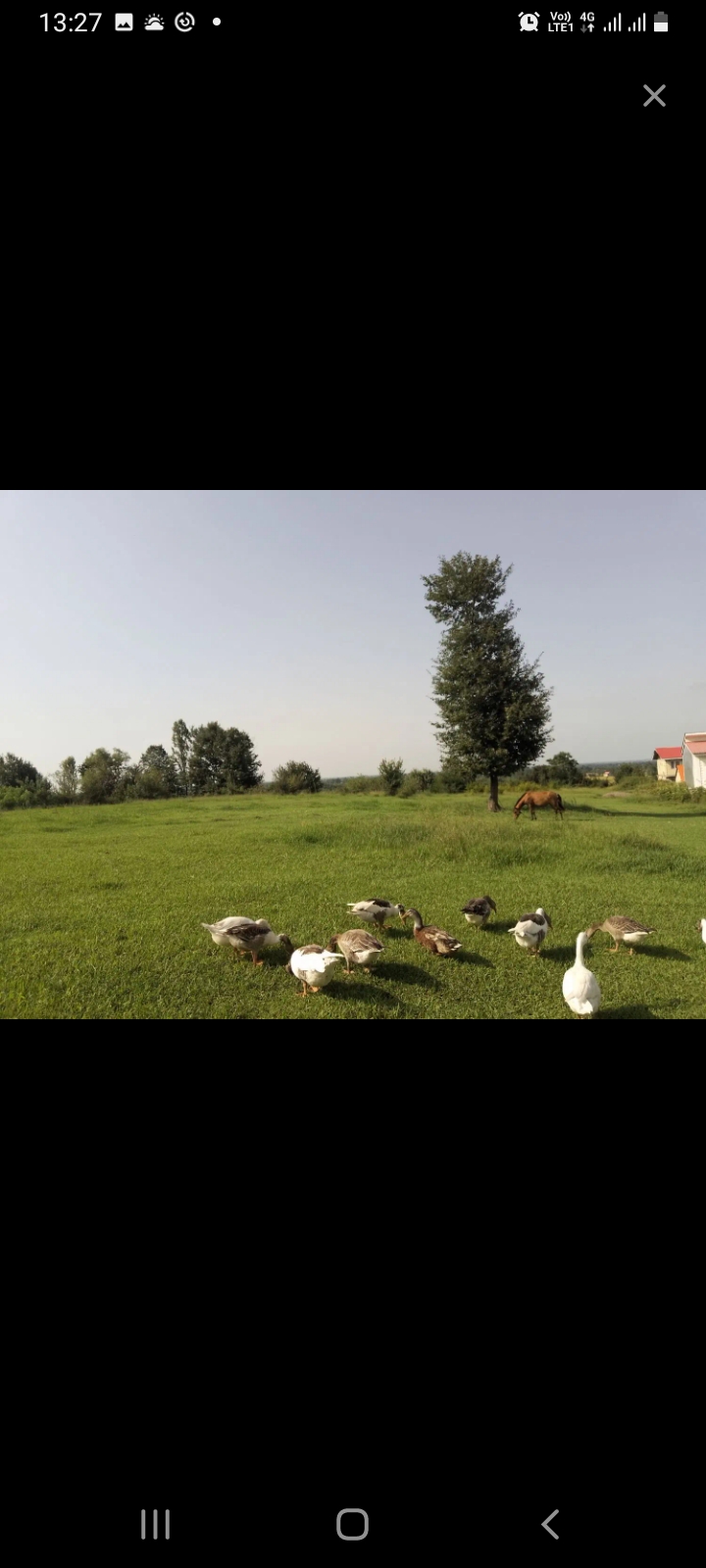 تصویر املاک 57751