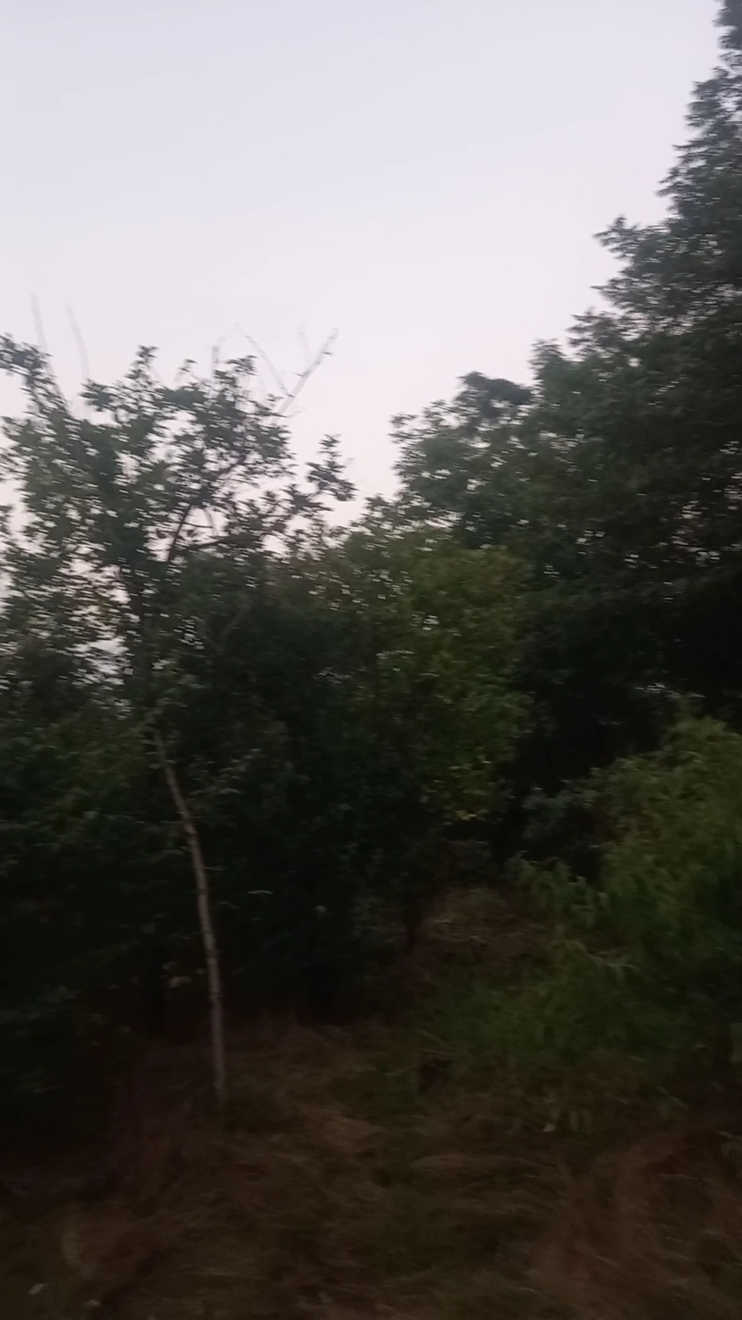 تصویر املاک 129125