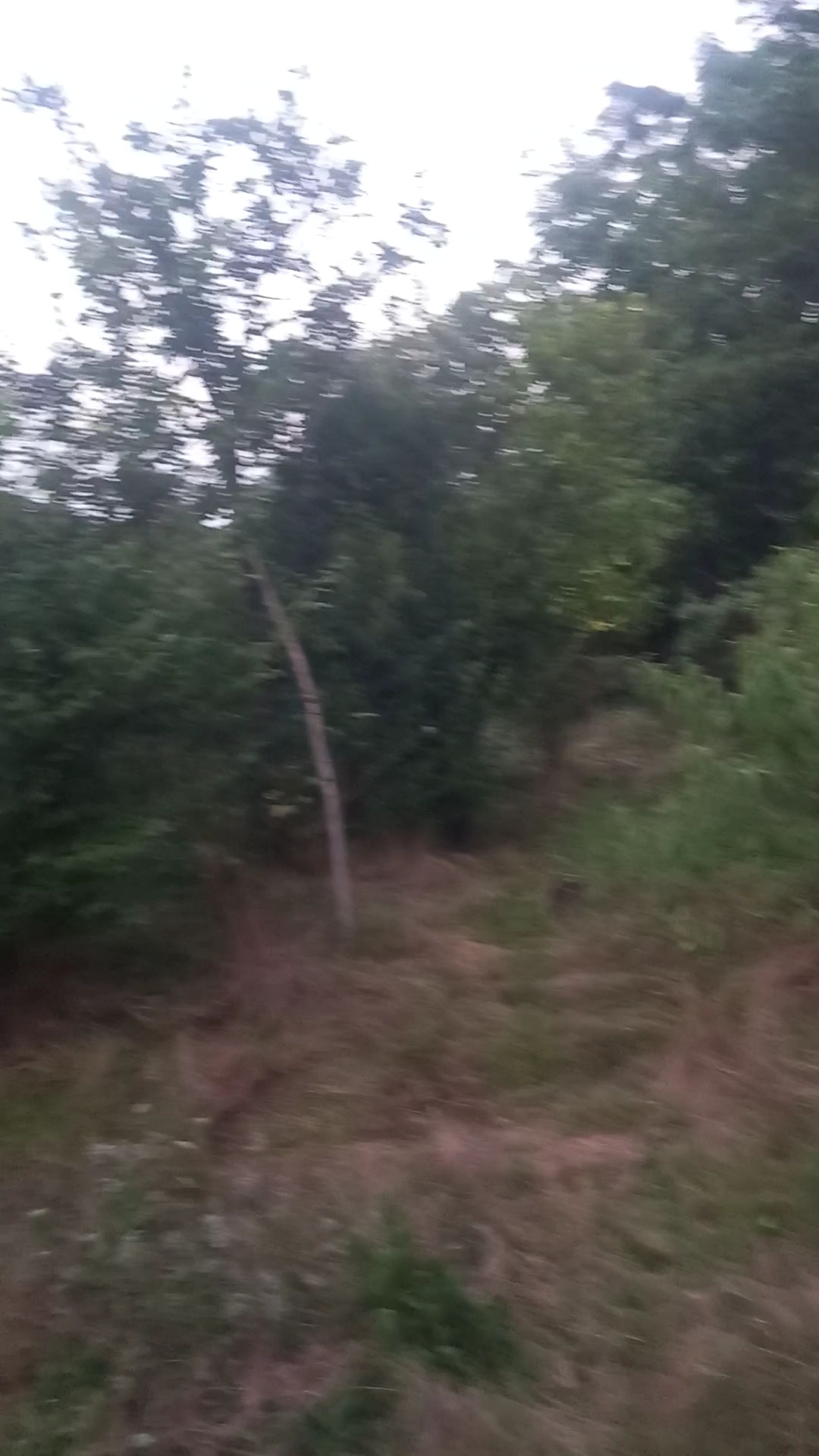 تصویر املاک 129126